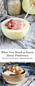 Probiotics are a hot topic these days, and for good reason. Learn more about their digestion- and immune-boosting benefits, plus vegetarian recipes!