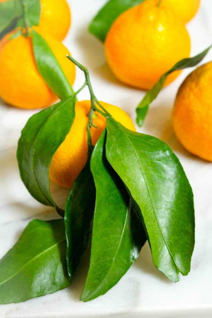 Winter Citrus Salad recipe made with grapefruit, satsuma orange, watercress, fennel, and topped with pistachios. Vegan and gluten free. The Grateful Grazer