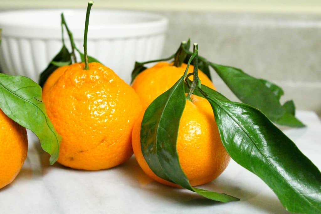 Winter Citrus Salad recipe made with grapefruit, satsuma orange, watercress, fennel, and topped with pistachios. Vegan and gluten free. The Grateful Grazer