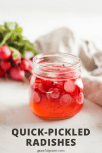 Quick pickled radishes in mason jar with bunch of radishes in background and text "quick-pickled radishes"