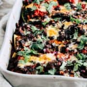 Vegetarian taco bake casserole with black beans, cheese, and fresh cilantro.