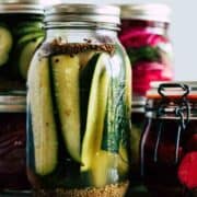 Jars of quick pickles made with white distilled vinegar.