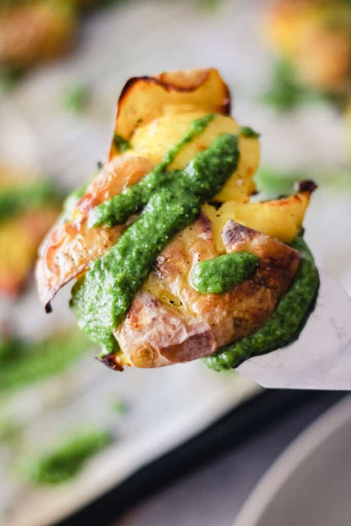 Close up of a smashed baby potato with pesto sauce.