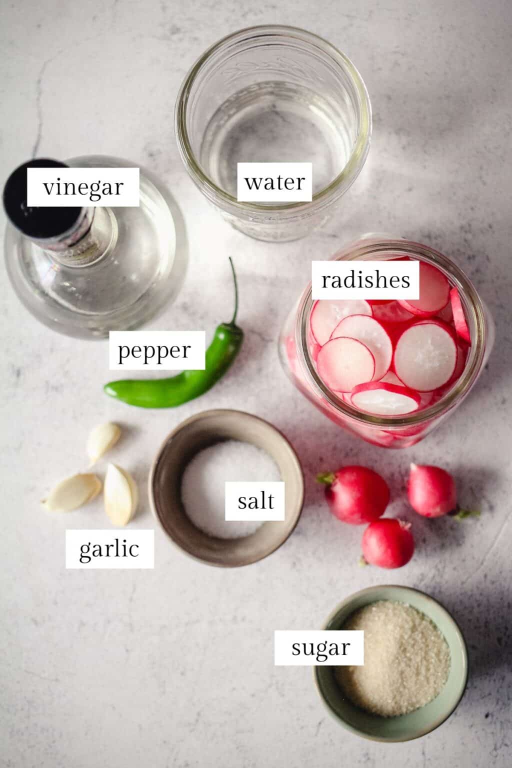 Easy Quick Pickled Radishes with Vinegar and Garlic Grateful Grazer
