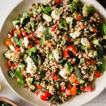 Mediterranean Lentil Salad on a white plate.