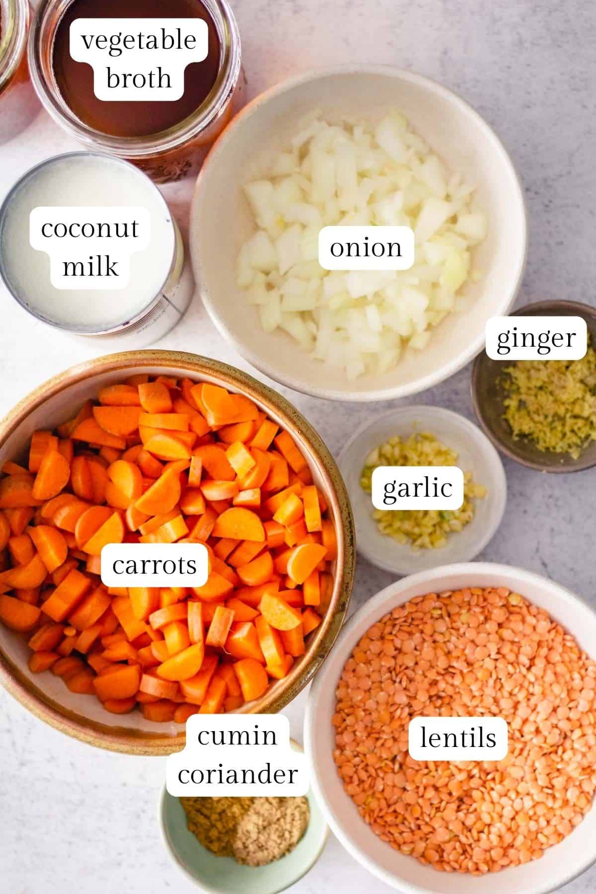 Labeled ingredients for carrot lentil soup, including carrots, lentils, vegetable broth, coconut milk, onion, and spices.