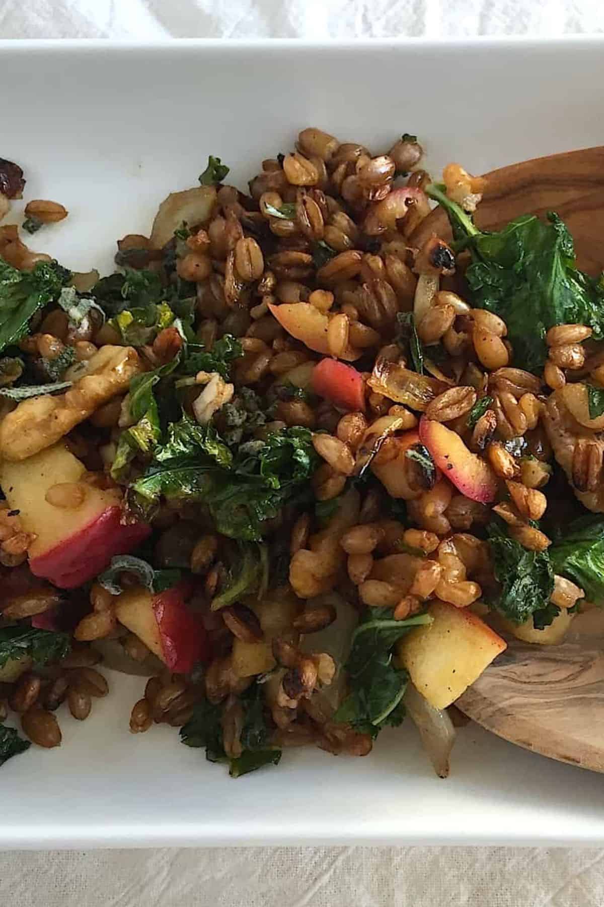 Vegetarian spelt berry grain salad with apples and kale.